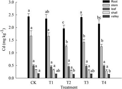 Effects of stabilizing materials on soil Cd bioavailability, uptake, transport, and rice growth